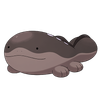 Clodsire