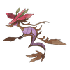 Dragalge