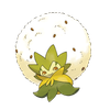Eldegoss