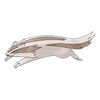 Linoone